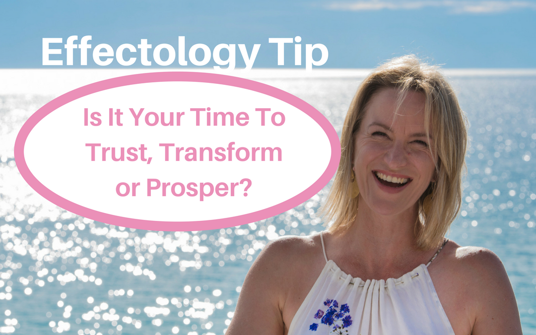Is It Your Time To Trust, Transform Or Prosper?