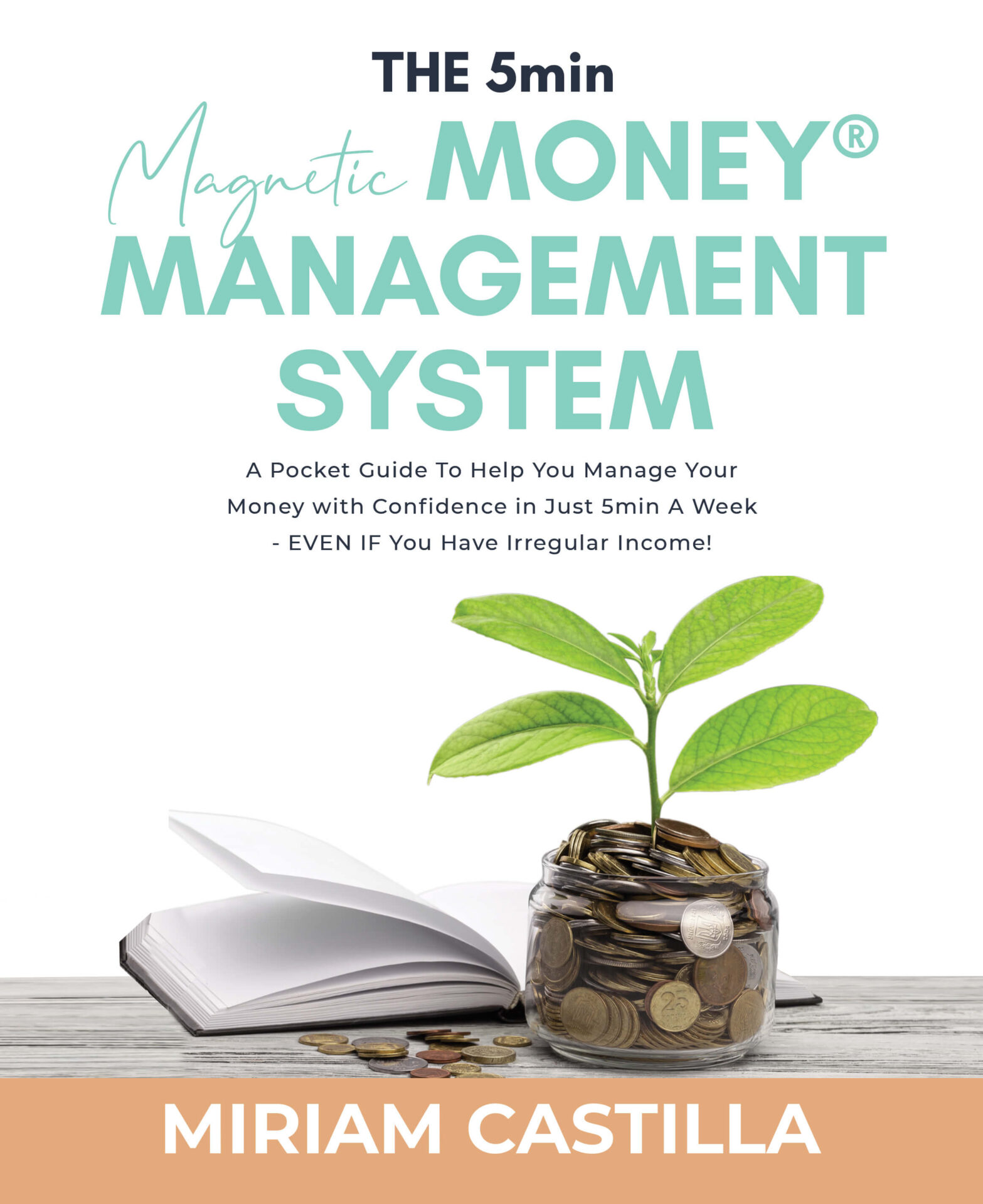 Book cover for the Magnetic Money Management System pocket guide